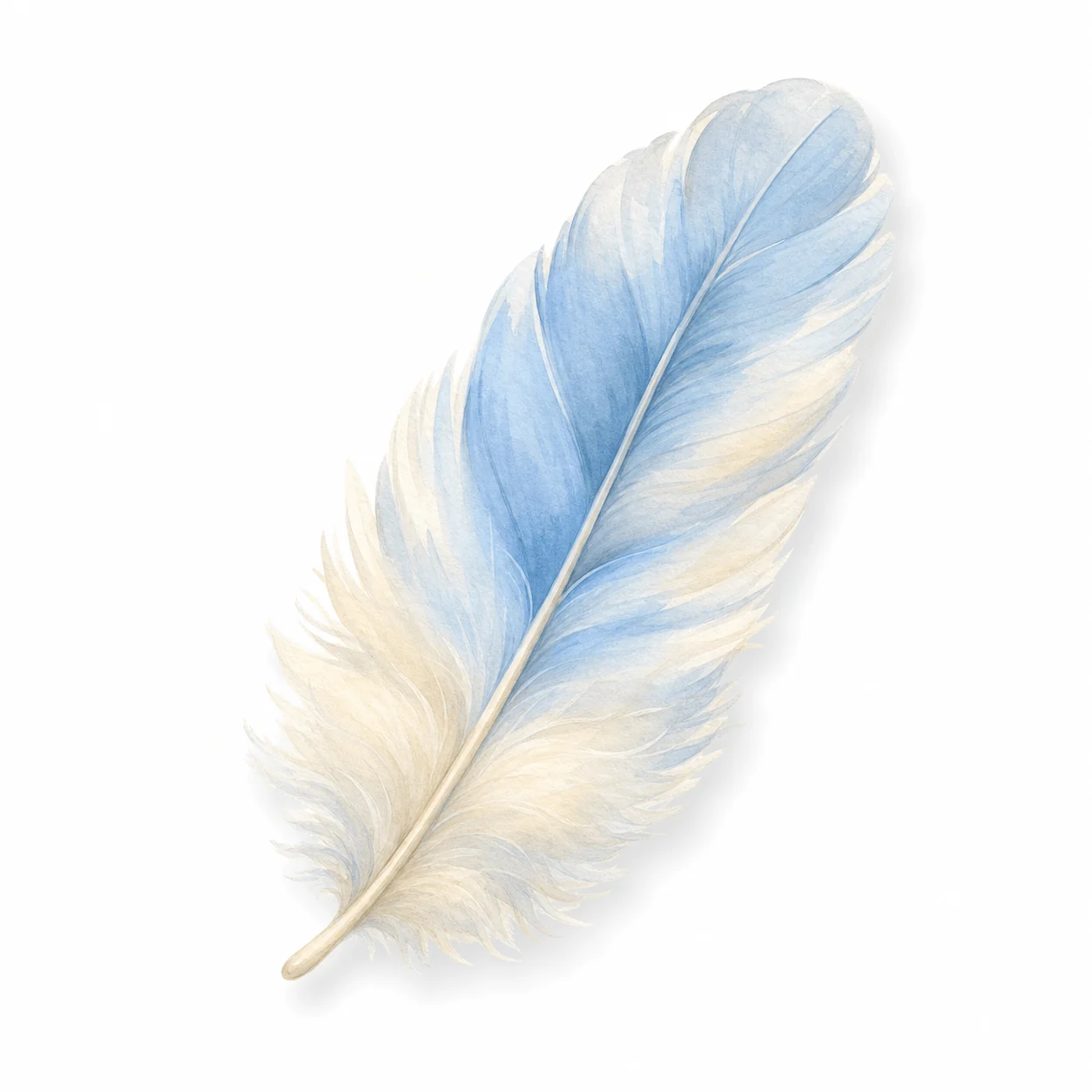 Feather collectible